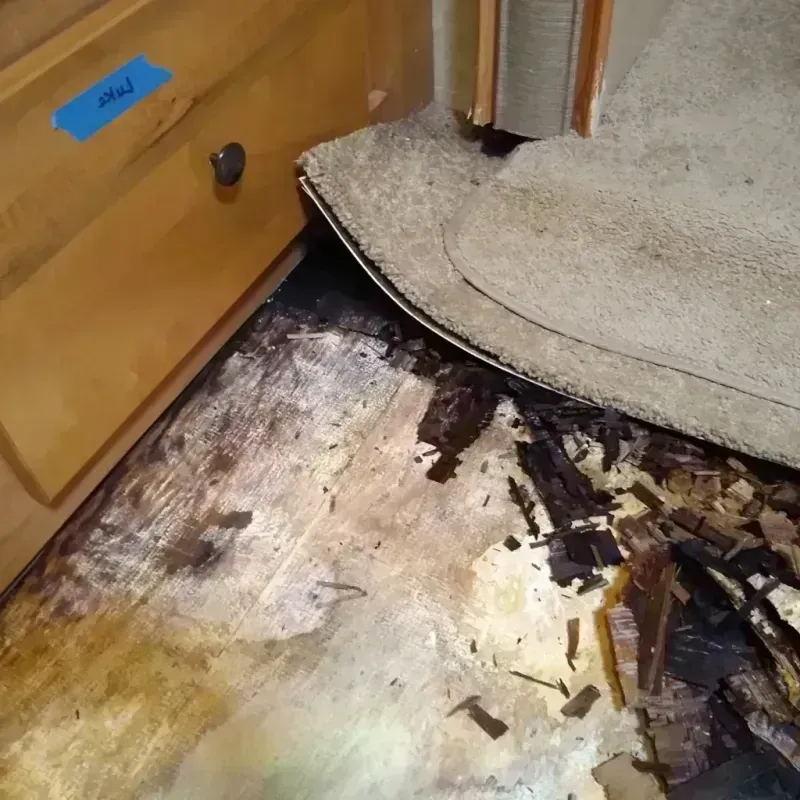 Wood Floor Water Damage in Flanagan, IL